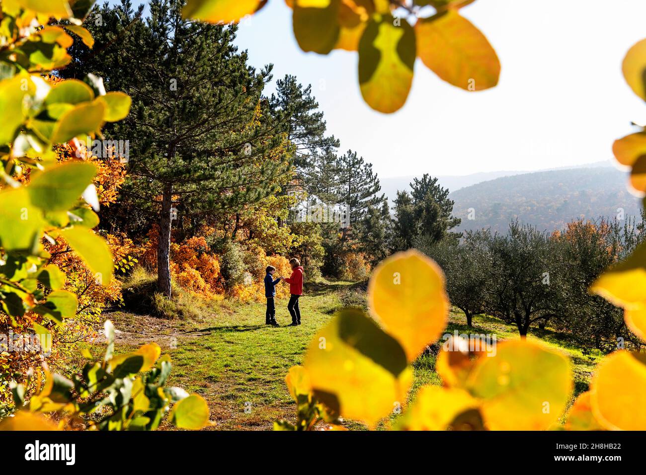 Mutter und Kind auf einer Wiese unter Kiefern und Herbstblättern bilden einen Rahmen im Vordergrund Stockfoto