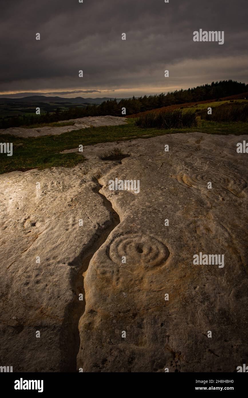 Neolithische Felskunst auf Chatton Park Hill in Northumberland, Großbritannien Stockfoto