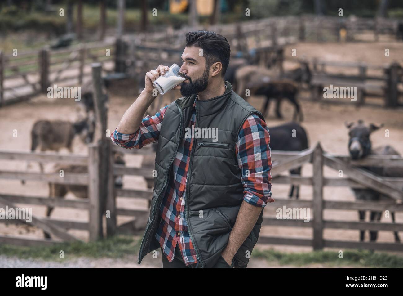 Ein bärtiger Bauer hält ein Glas Milch in der Hand Stockfoto
