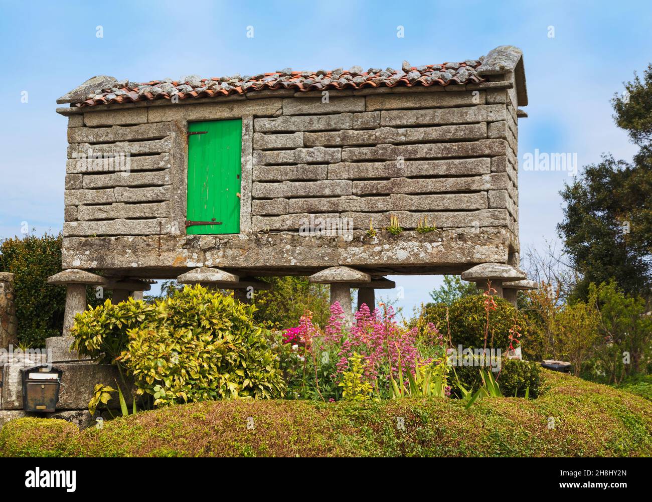 Typischer Steinhorreo, oder Getreidespeicher, in Castrelo, La Coruna, Galicien, Spanien. Die Pfeiler, die die Struktur stützen, sind mit pilzförmigem Addel bedeckt Stockfoto