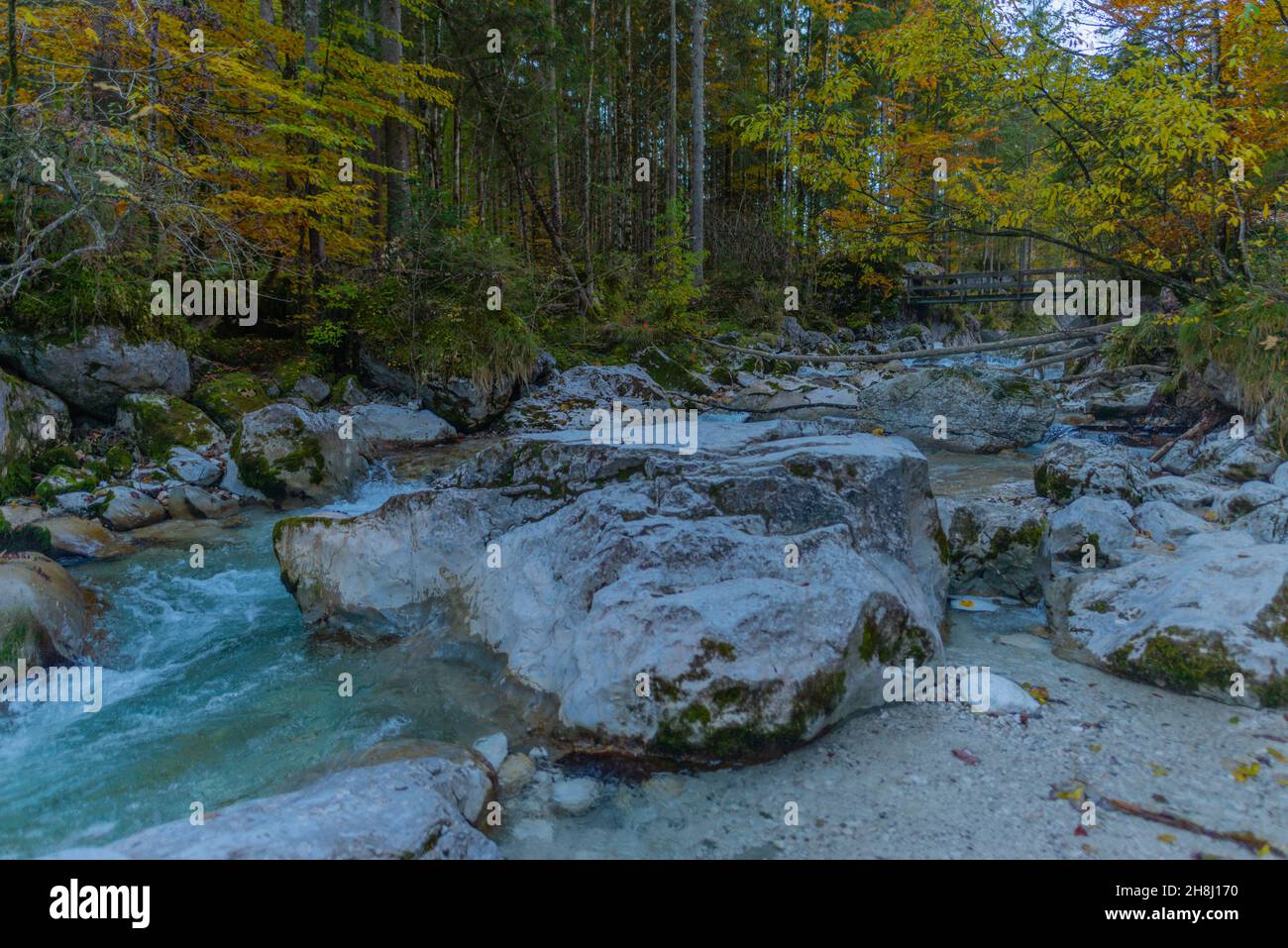 Zauberwald oder Zauberwald mit der Ramsauer Ache bei Hintersee in Herbstfarben, Ramsau, Oberbayern, Süddeutschland Stockfoto