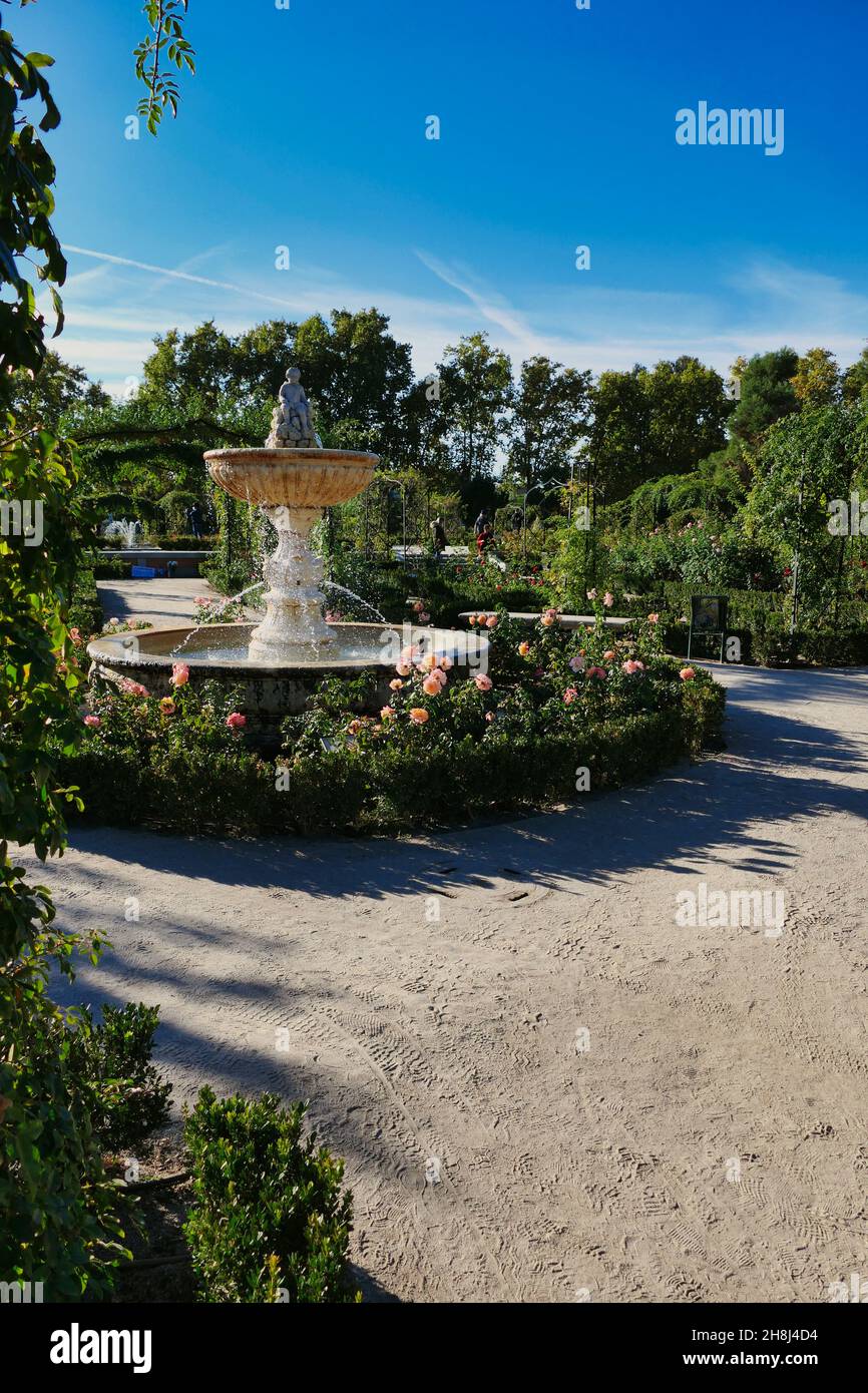 MADRID, SPANIEN - 25. Okt 2021: Rosengarten von El Retiro ('Park des angenehmen Rückzugs'), einer der größten Parks in der Stadt Madrid, Spanien Stockfoto