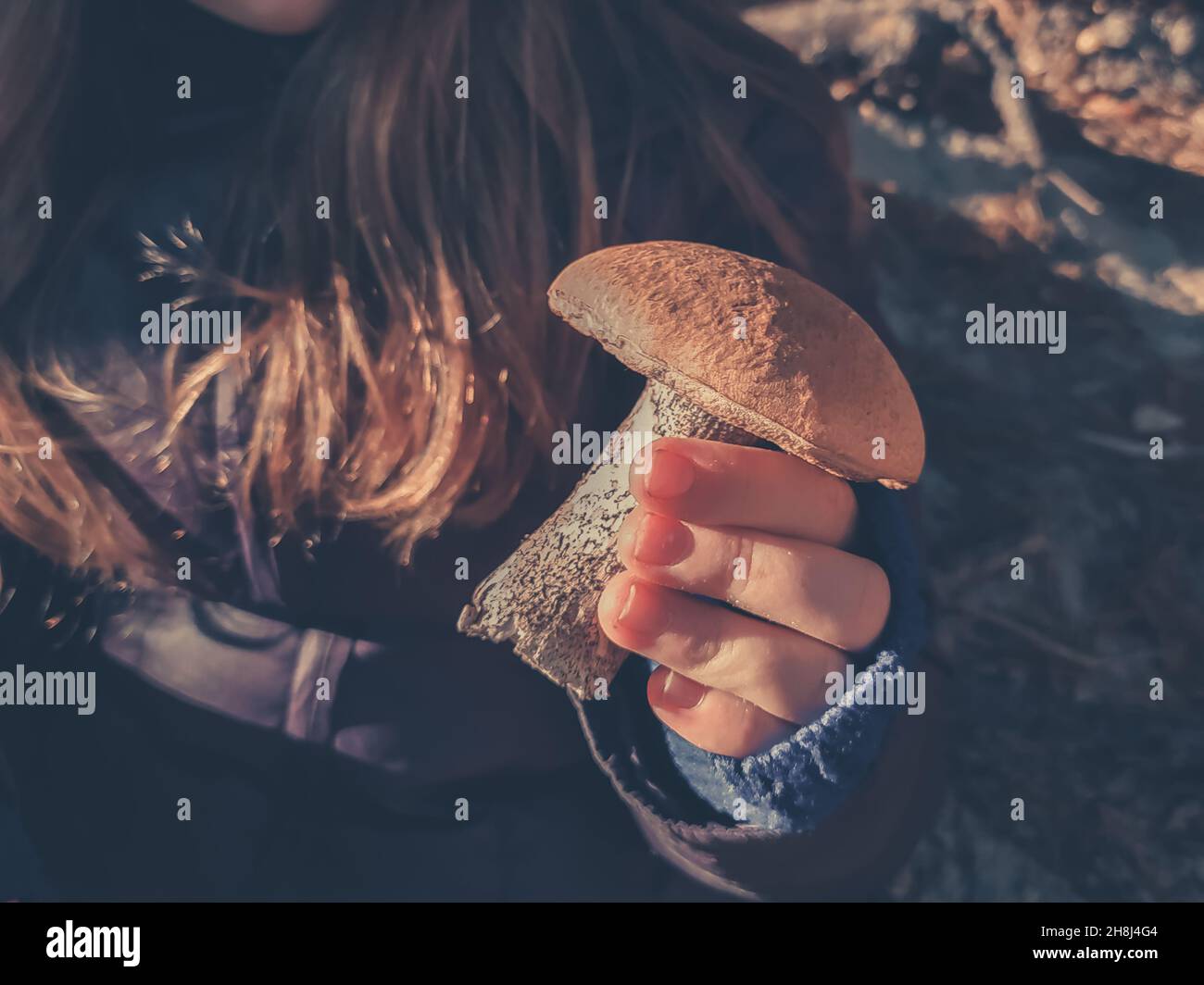 Frisch geschnittener Steinpilz in der Hand des Mädchens aus der Nähe Stockfoto