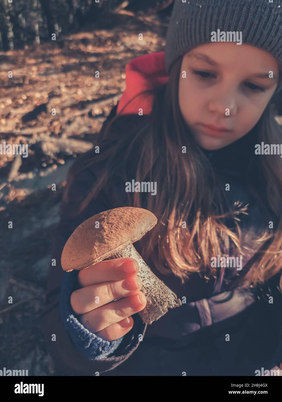 Das junge Mädchen hält einen großen Steinpilz in der Hand Stockfoto