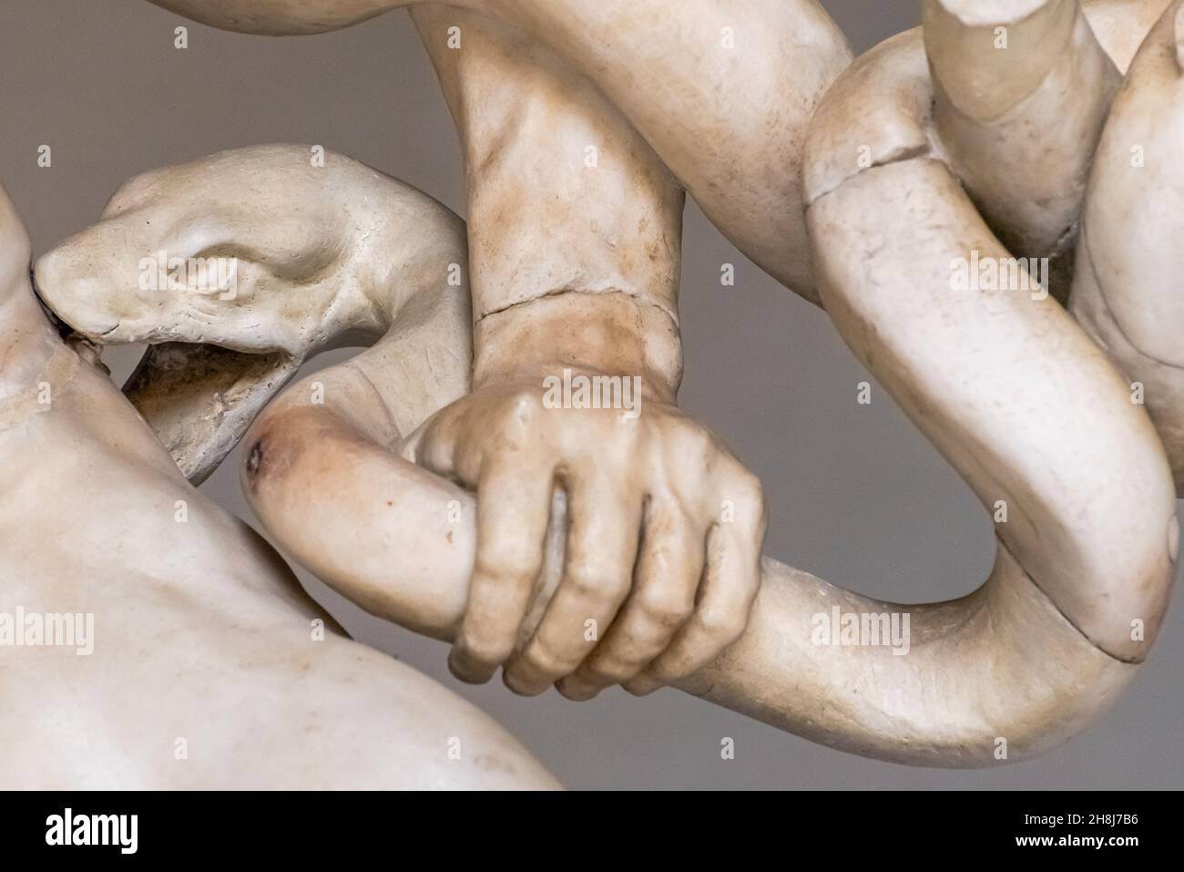 Nahaufnahme einer Marmorstatue mit Schlange, die einen männlichen´s tigh beißt Stockfoto