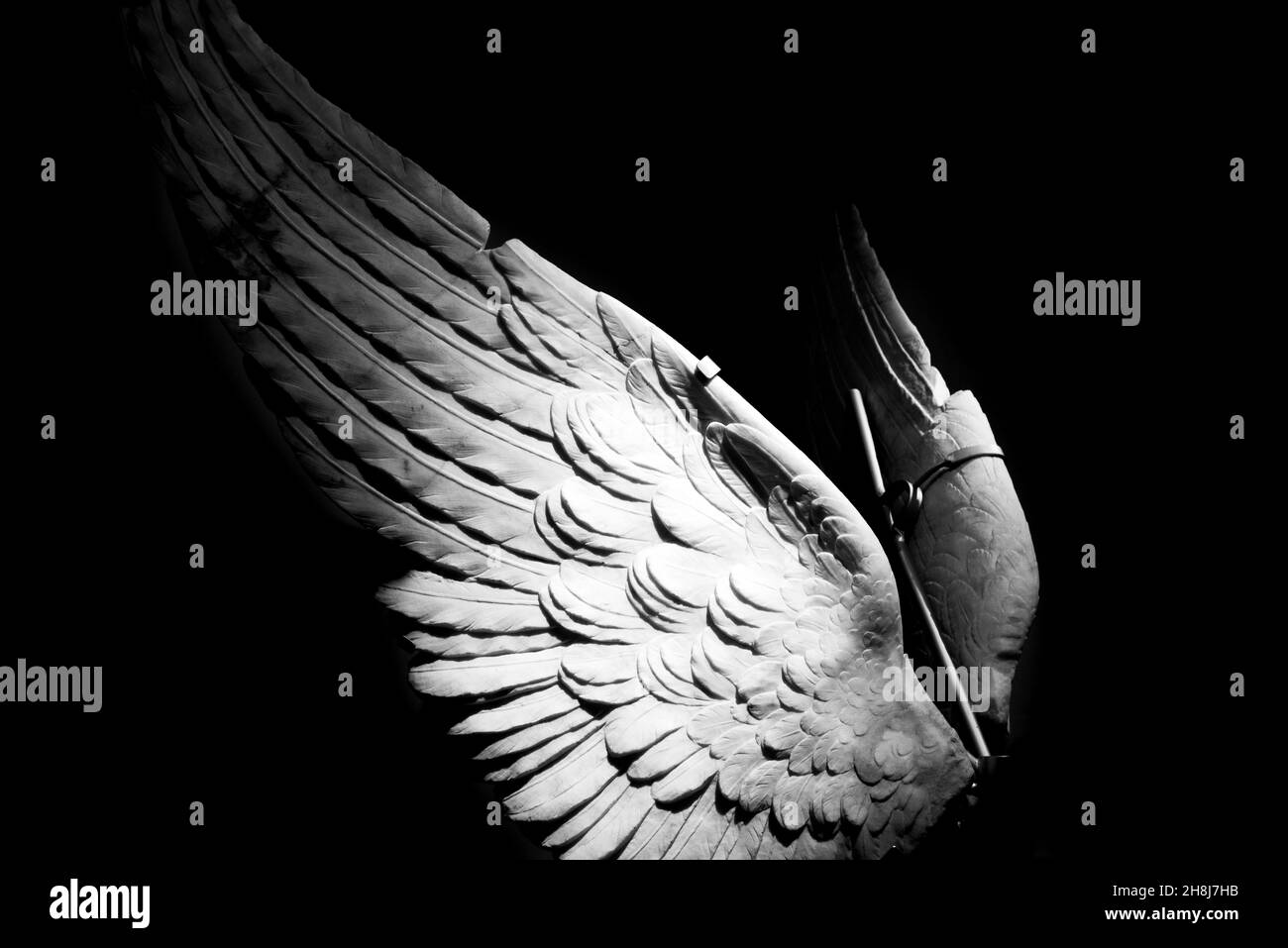 Schwarz-Weiß-Foto von zwei Flügeln in Marmor gemeißelt Stockfoto