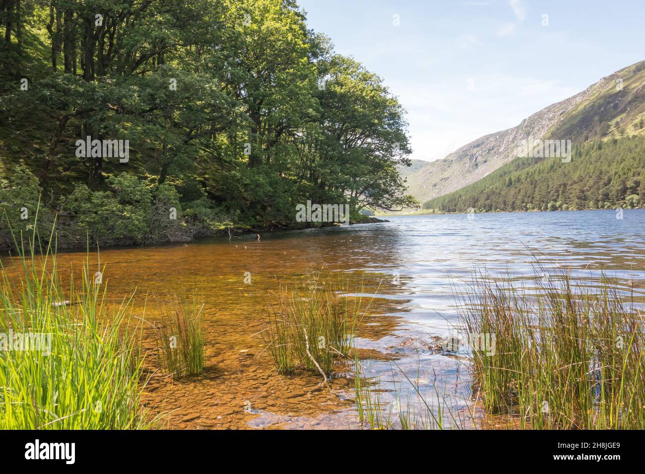 Blick auf den Upper Lake und den Wald im Glendalough National Park, County Wicklow, Irland. Stockfoto