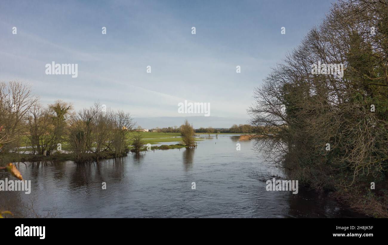 Winterflut auf dem Fluss saugen in Castlestrange, County Roscommon, Irland Stockfoto