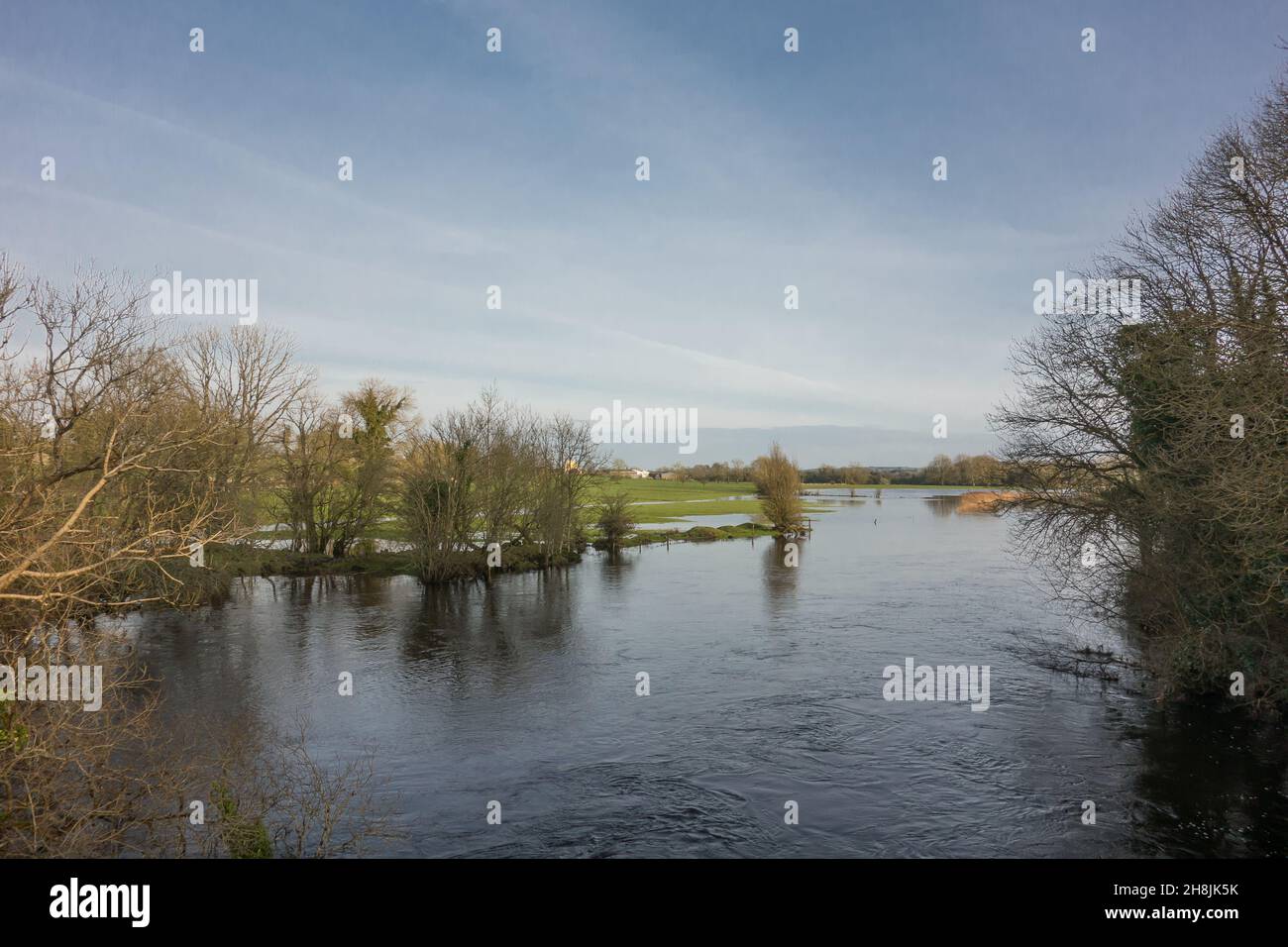 Winterflut auf dem Fluss saugen in Castlestrange, County Roscommon, Irland Stockfoto