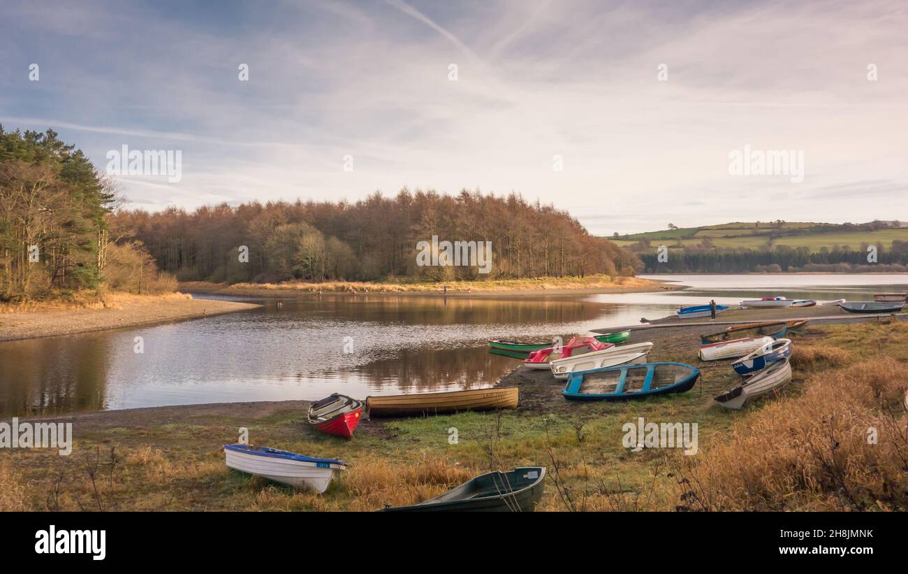 Russellstown Bay an den Blessington Lakes in der Grafschaft Wicklow, Irland. Stockfoto