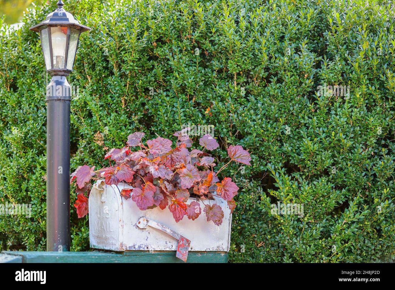 Nahaufnahme eines Briefkastens, der bei einem Blumentopf auf einer Holzschiene neben einem Lichtpfosten im Freien verwendet wird. Stockfoto