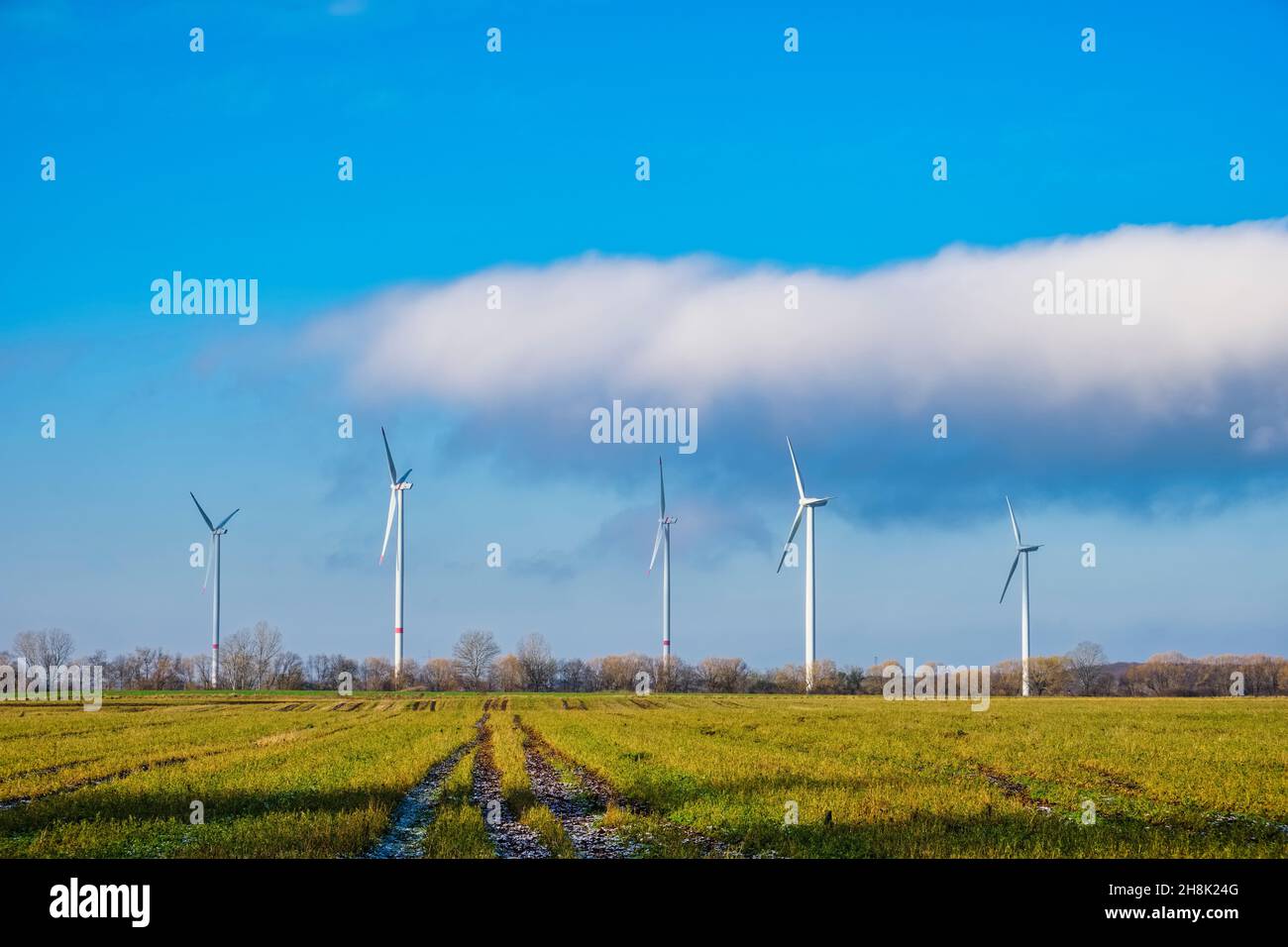 Windturbinen bei Schönerlinde, Brandenburg, Deutschland Stockfoto