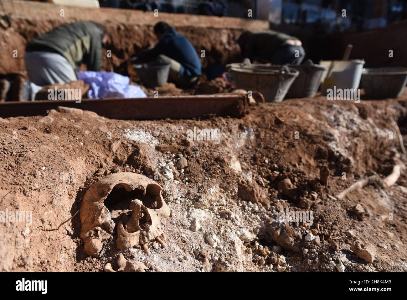 Belchite, Spanien. 30th. November 2021. (ANMERKUNG DER REDAKTION: Bild zeigt den Tod) In einem Massengrab in Belchite Ist Ein Schädel zu sehen.die Exhumierung der Opfer des spanischen Bürgerkrieges wird in zwei Massengräbern auf einem Friedhof in Belchite, Provinz Zaragoza, fortgesetzt. Das Gelände war eines der blutigsten Schlachtfelder mit insgesamt 400 Toten aus Belchite und Umgebung. Kredit: SOPA Images Limited/Alamy Live Nachrichten Stockfoto