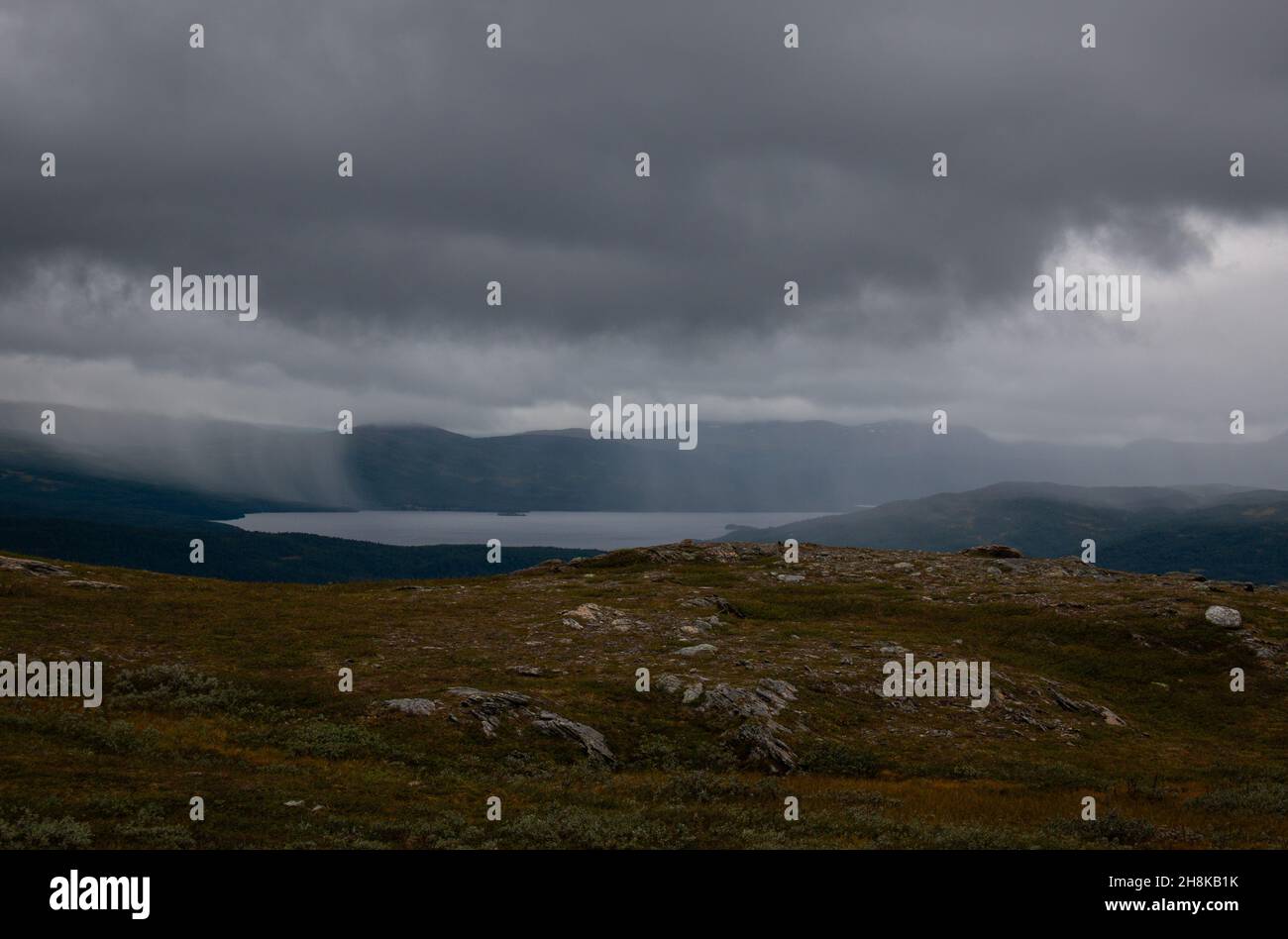 Regen in der Nähe von Hemavan, dem Beginn des Kungsleden Trails, Lappland, Schweden Stockfoto