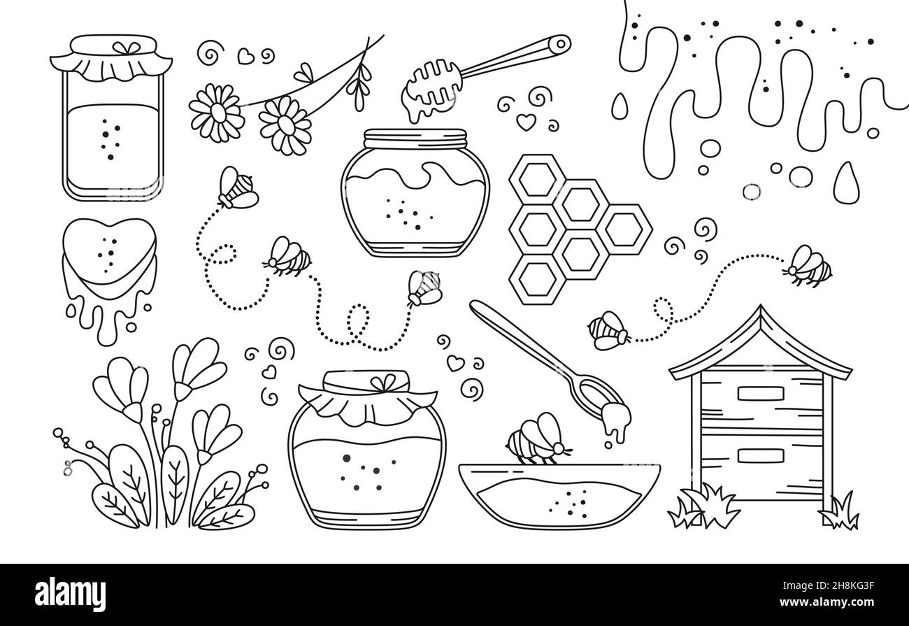 Honig im Glas und Biene, Wabendoodle-Set. Holzhonigtauchmaschine, Tropfen fließend, flüssig und Bienenstock, Propolis, Blumen, Herz. Gesundes natürliches Bio-Produkt. Design-Konzept der Verpackungslinie für Lebensmittel Stock Vektor