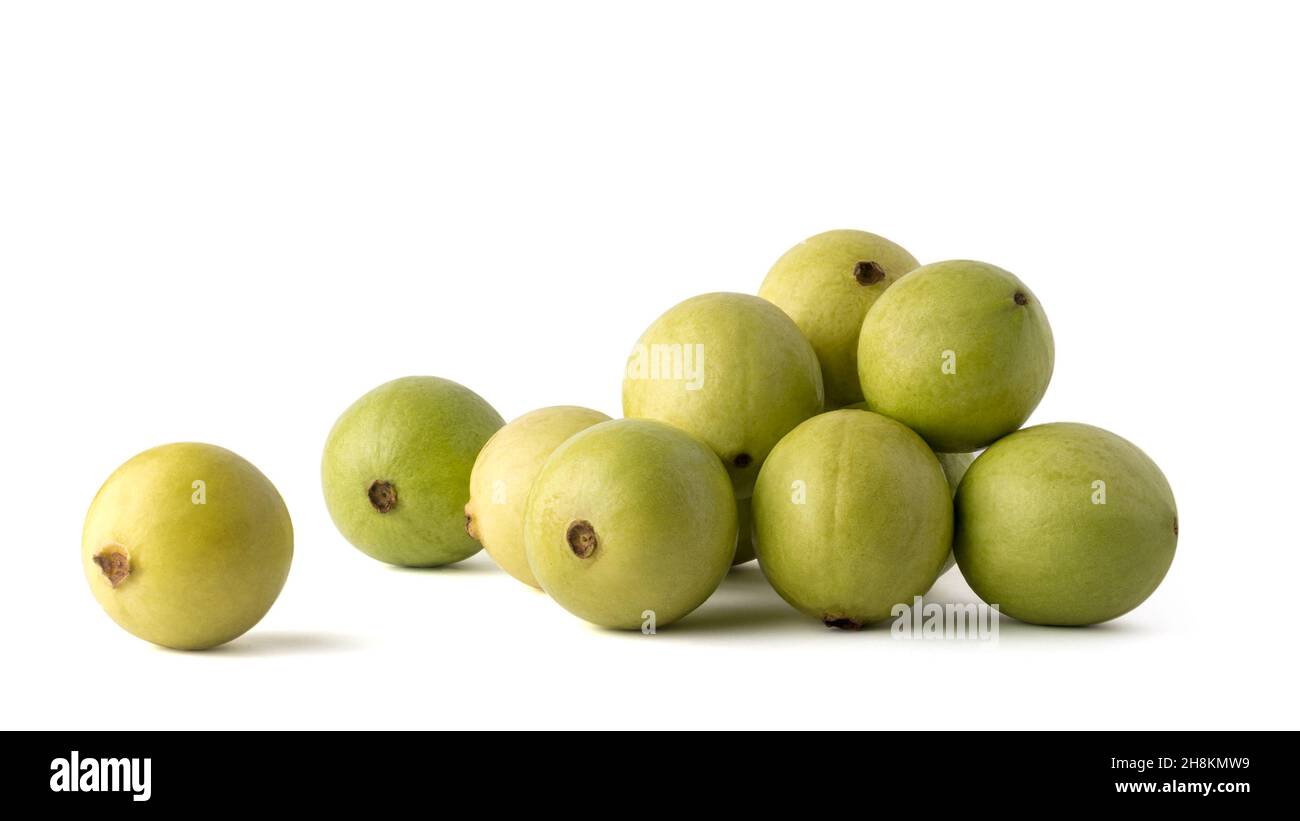 Guava-Früchte auf weißem Hintergrund verstreut, gemeinsame tropische Früchte Nahaufnahme Stockfoto