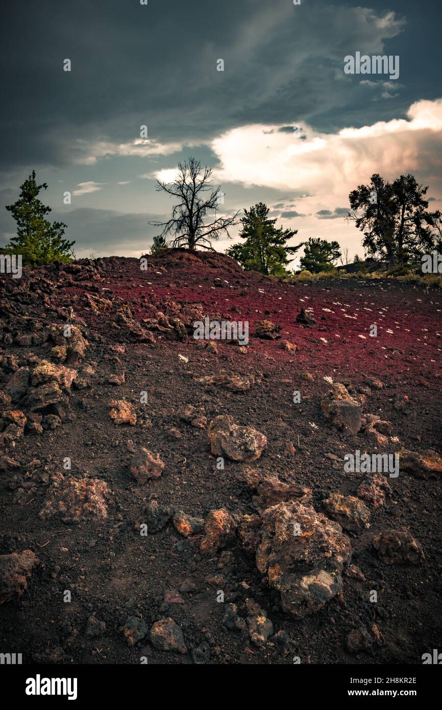 Blick auf rote Felder mit Lava und Bäumen am Horizont, Lavahügel, vulkanische Landschaft an den Kratern des Moon National Monument & Preserve Stockfoto