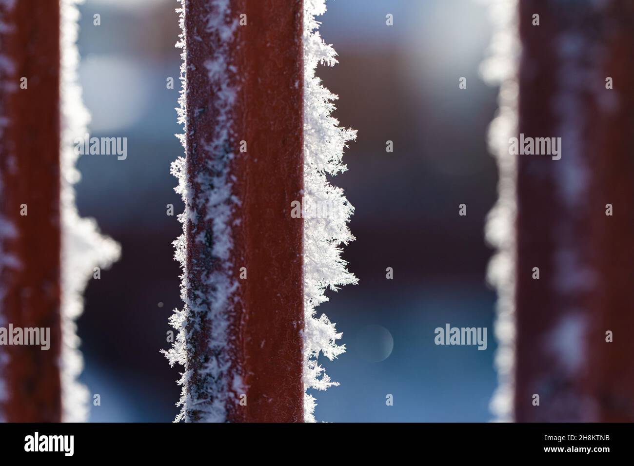 Metallstange mit Frost bedeckt mit Schneeflocken. Russland, Winter. Stockfoto