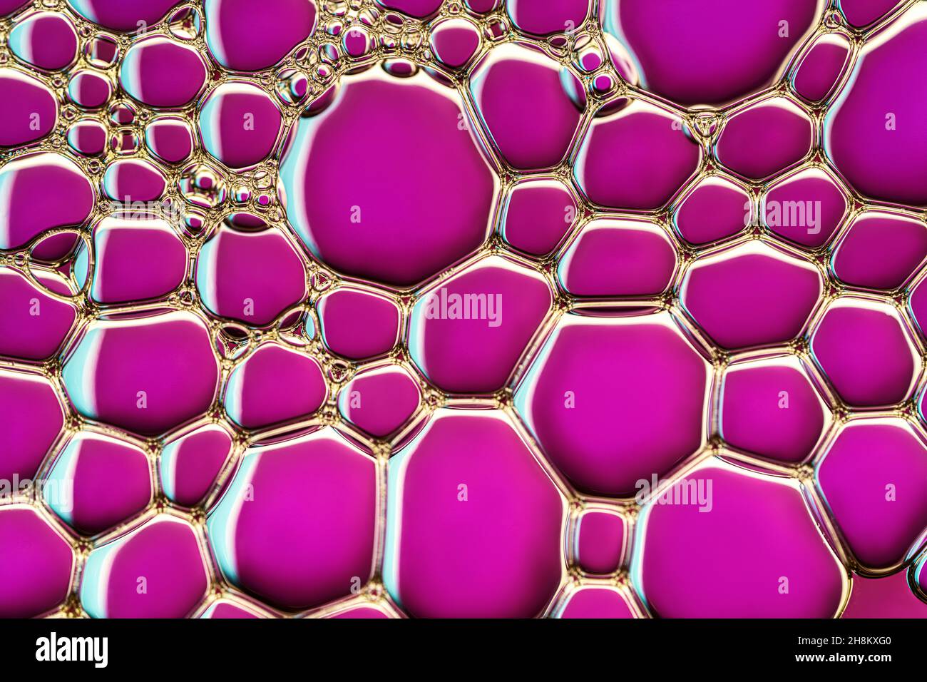 Wissenschaftlicher Hintergrund mit einem Netz von Blasen. Draufsicht, Nahaufnahme Stockfoto