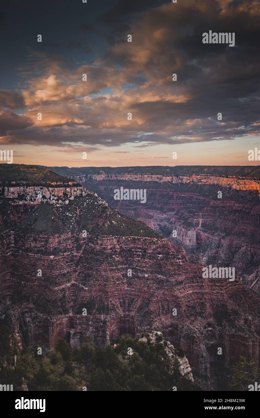 Farblich perfekte Canyon- und Kiefernlinien, Hintergrund des wolkigen Himmels Grand Canyon National Park, Arizona, USA Stockfoto