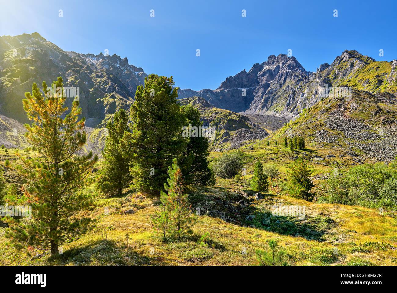 Sonniger Tag in der Bergwald-Tundra. August. Eastern Sayan Mountains. Burjatien. Russland Stockfoto