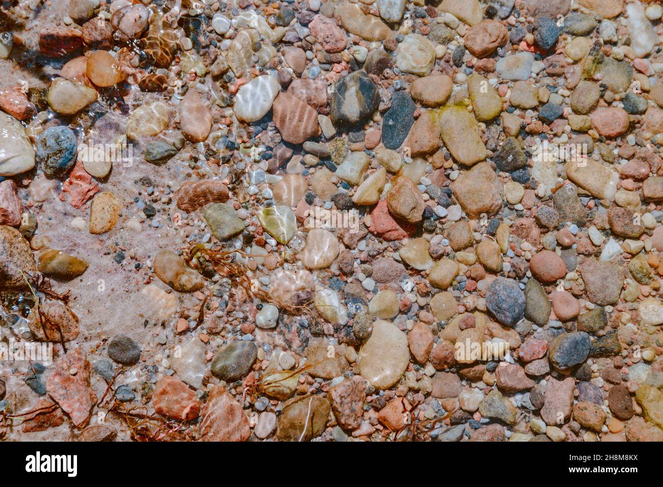 Bunte kleine Kieselsteine am Grund des Sees unter klarem Wasser Stockfoto