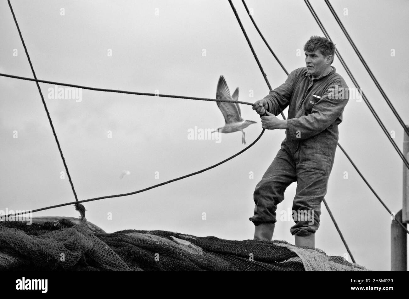 Fischer mit Möwe, Mann auf Fischerboot, der an der Leine zieht, Mann in Overalls, der arbeitet, Eminoeni, Istanbul, Türkei Stockfoto