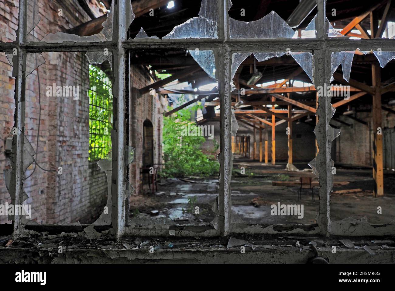 Blick durch kaputtes Fenster im Bahnhof, Warenhalle, Ruine, verlorener Ort, verlassener Ort, Ruine, Dessau-Rosslau, Sachsen-Anhalt, Deutschland Stockfoto