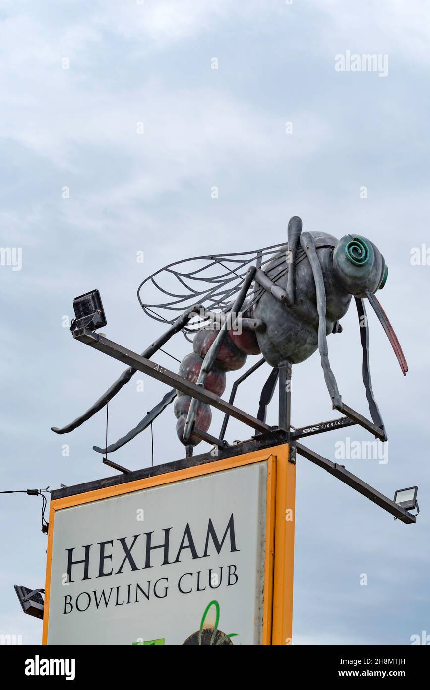 Eines der berühmtesten Big Things Australiens, der Big Mosquito im Hexam Bowling Club in New South Wales, der Stadt Hexham in der Hunter Region Stockfoto