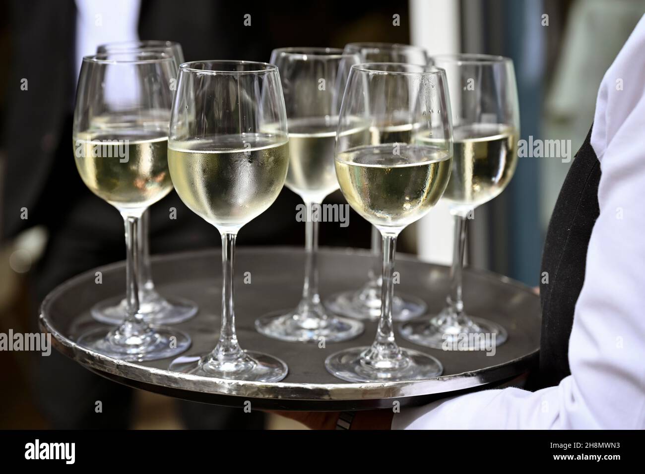 Kellner trägt Weißweingläser auf einem Tablett Stockfoto