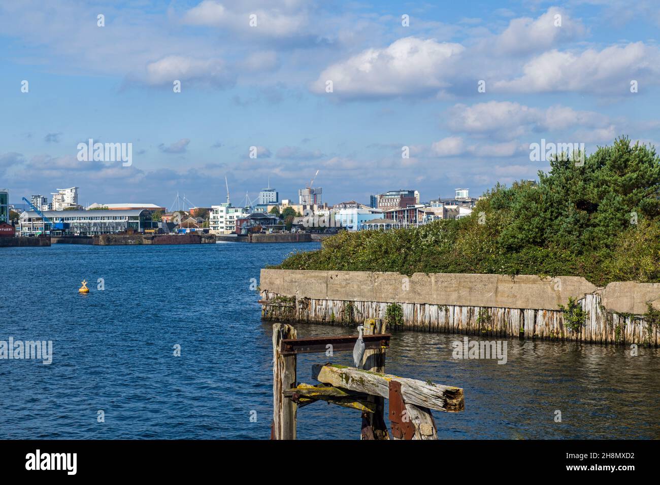 Blick auf die Cardiff Bay vom Staudamm aus, der Gebäude an der Waterfront und einen Reiher ganz vorne zeigt Stockfoto
