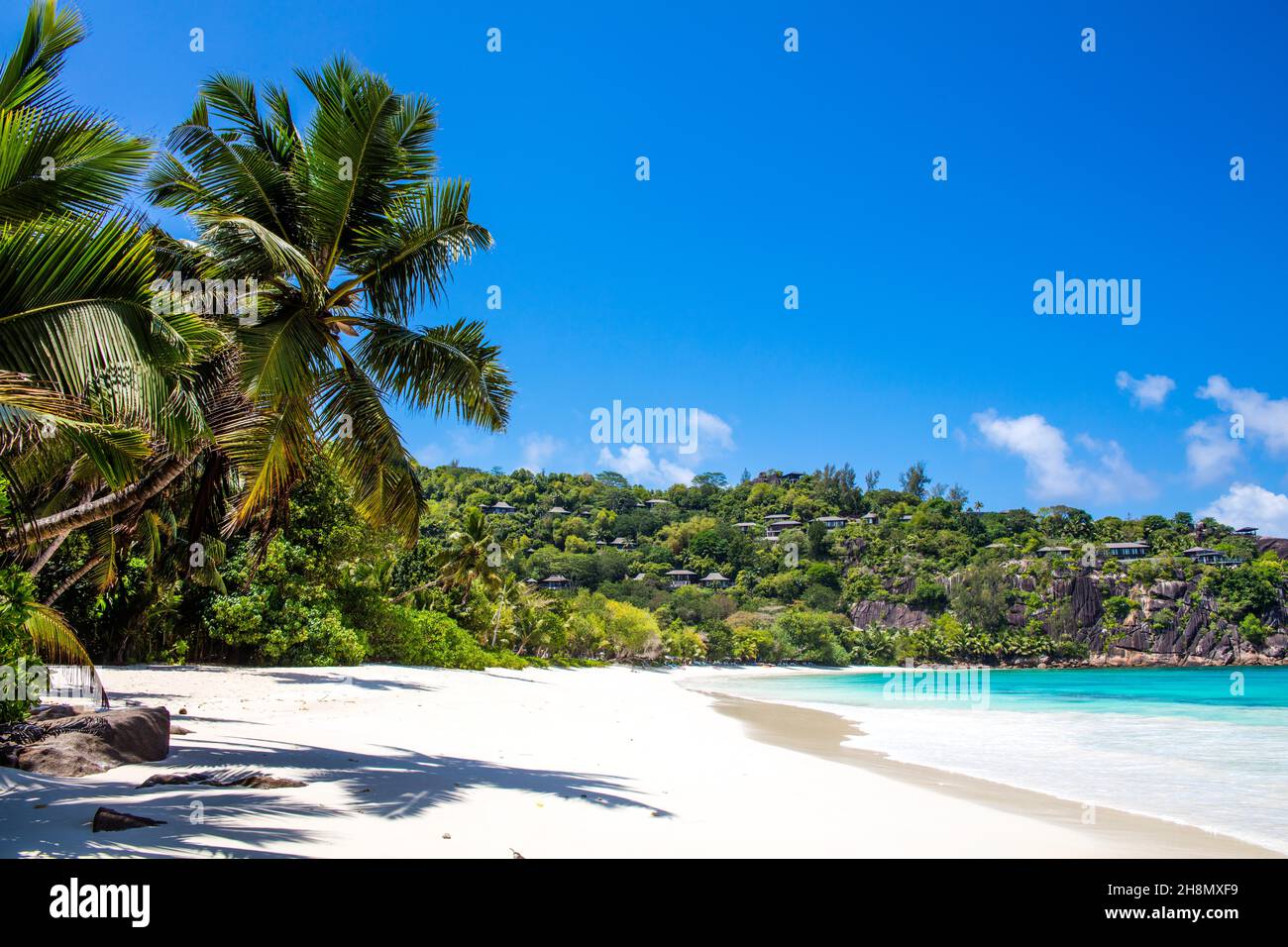 Palmen am Petite Anse Strand mit Granitfelsen, der Geheimtipp unter den Buchten im Süden von Mahe, Seychellen, Mahe, Seychellen Stockfoto