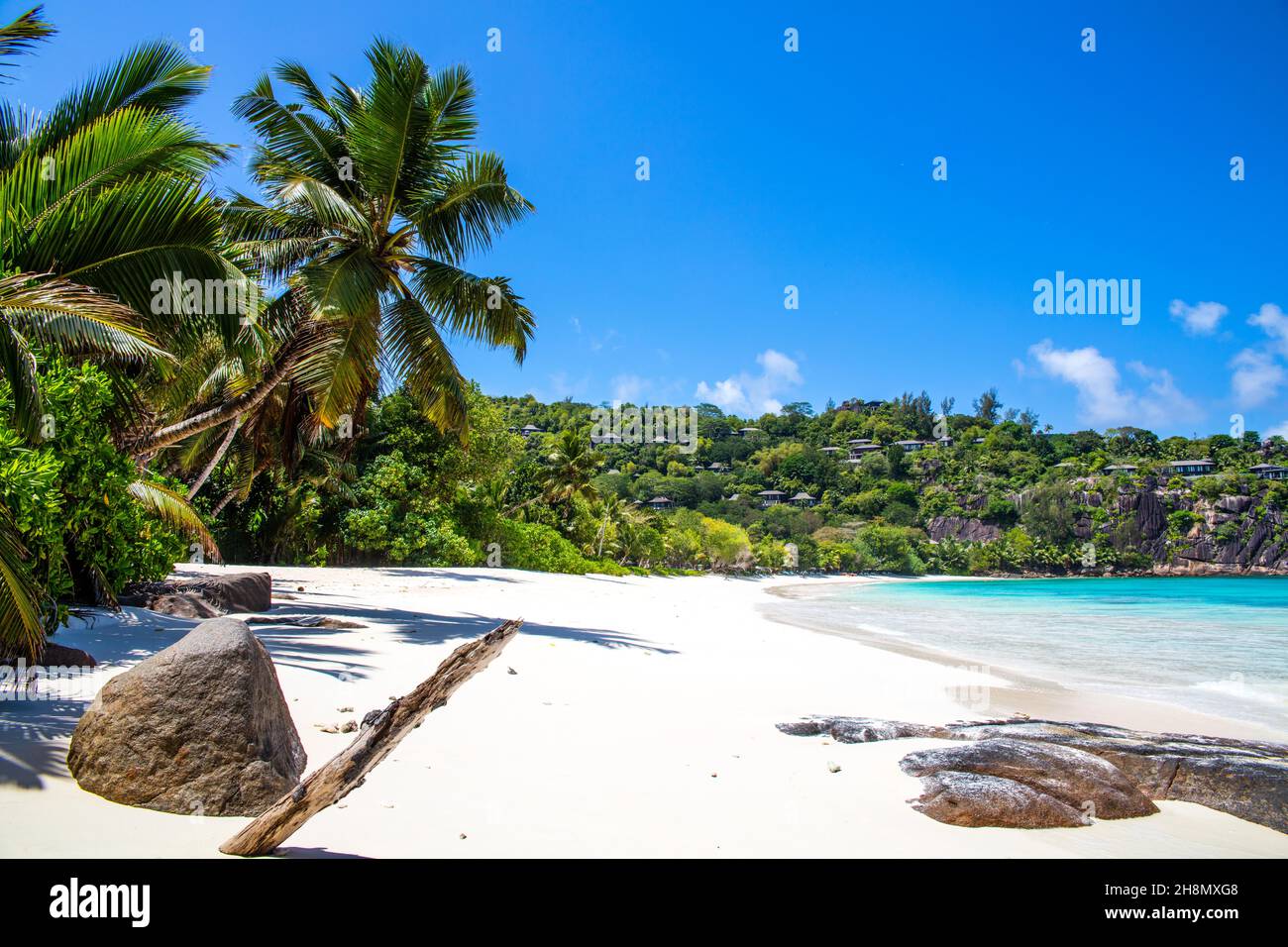 Palmen am Petite Anse Strand mit Granitfelsen, der Geheimtipp unter den Buchten im Süden von Mahe, Seychellen, Mahe, Seychellen Stockfoto