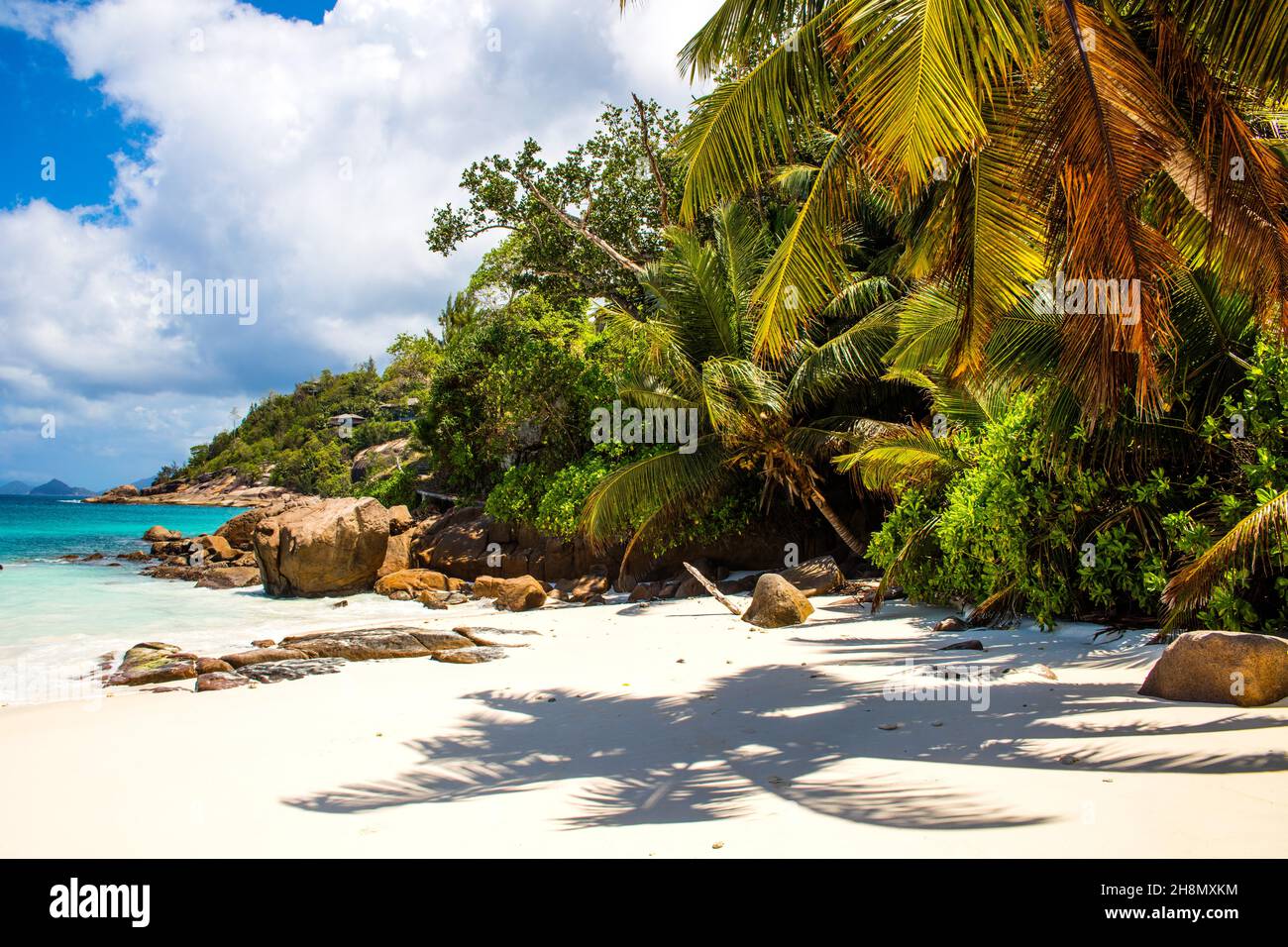 Palmen am Petite Anse Strand mit Granitfelsen, der Geheimtipp unter den Buchten im Süden von Mahe, Seychellen, Mahe, Seychellen Stockfoto