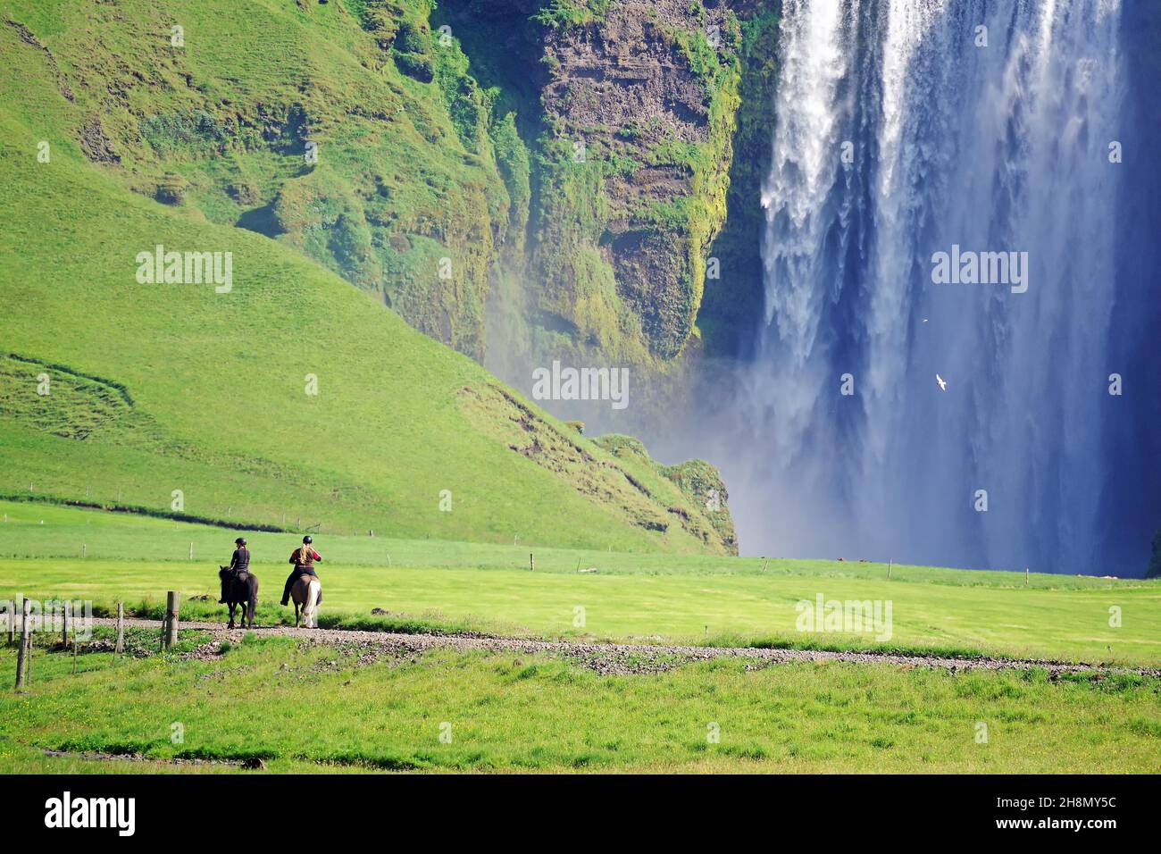 Wassermassen stürzen senkrecht in die Tiefe, Spiegelung im Wasser, grüne Landschaft, zwei Reiter auf isländischen Pferden, Skogafoss, Island Stockfoto