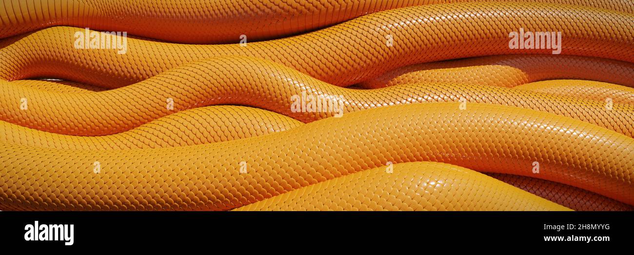 Orange Schlangen Hintergrund Banner Stockfoto