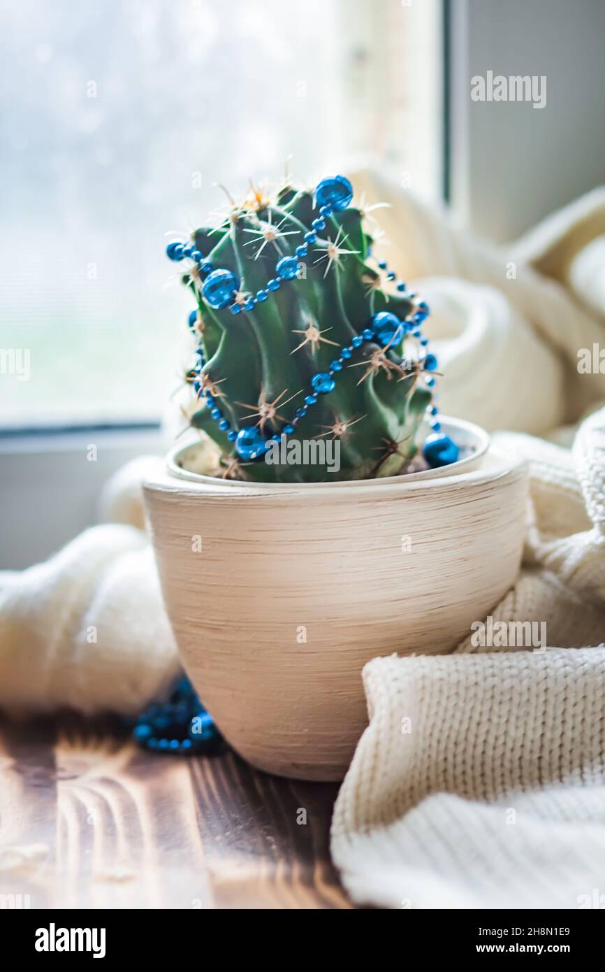 Ein Kaktus, der wie ein Weihnachtsbaum aussieht. Heimpflanze mit  Weihnachtsdekor mit Girlanden verziert. Gemtliches Neujahr Hintergrund.  Unschrfe-Unschrfe Stockfotografie - Alamy