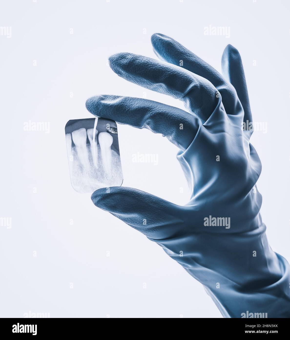 Nahaufnahme der Hand, die einen kleinen zahnärztlichen Röntgenstrahl isoliert hält Stockfoto