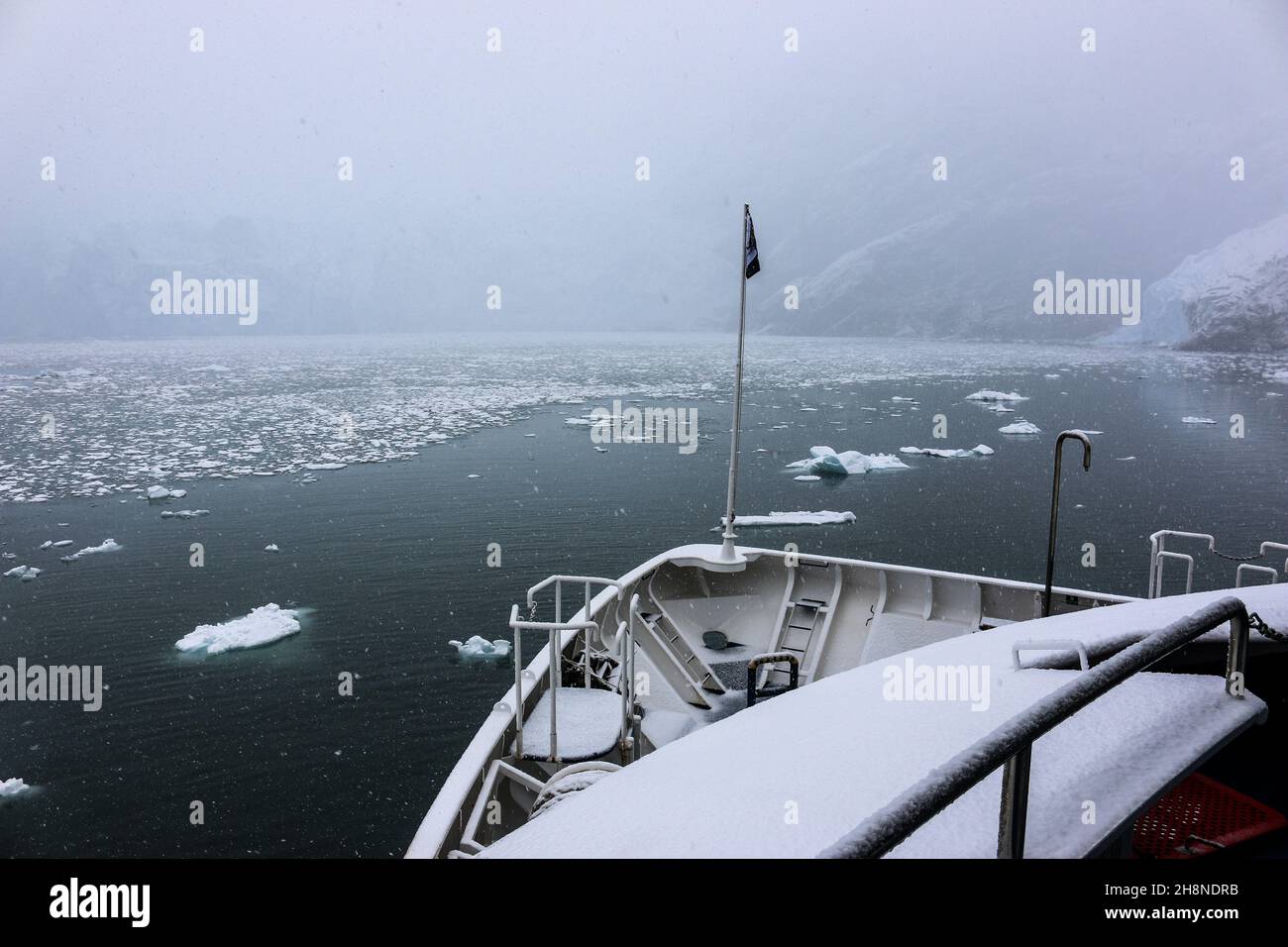 Eisfeld, Gletscher, Blick von der Brücke eines kleinen australischen Expeditionsschiffs, chilenisches Patagonien, Chile, Vordeck, Foto der Bootstour Stockfoto
