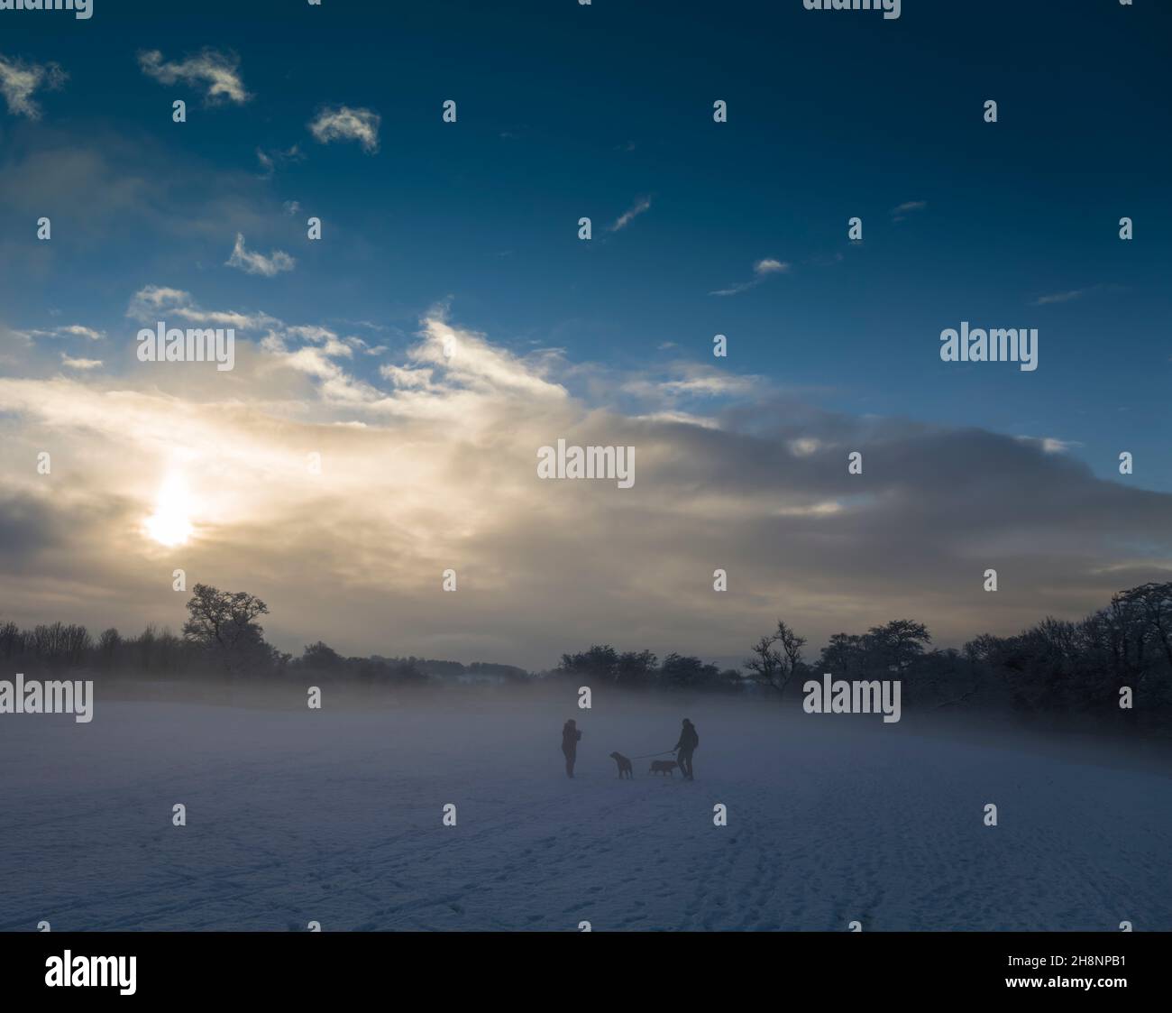 Paare, die im Winter mit ihren Hunden auf dem Ribble Way spazieren gehen, Clitheroe, Ribble Valley, Lancashire, Großbritannien. Stockfoto