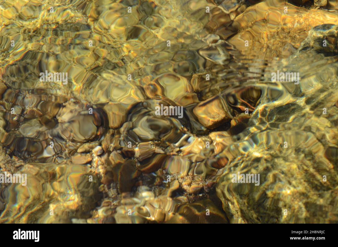Der letzte wilde Fluss in Europa, der Bela Fluss in der Slowakei, klares sauberes Wasser, Wasser, sauberes Wasser, Trinken, Bestes Getränk Stockfoto
