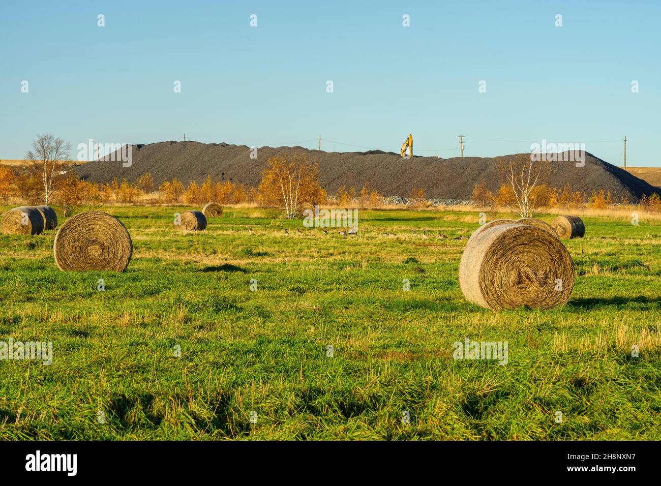 Rehabilitierte Abstände mit Heuballen, Greater Sudbury- Copper Cliff. Abraumungsanlage Von Der Fazilität Für Abraumhalden In Der Region Von Der Kanadischen Provinz Stockfoto