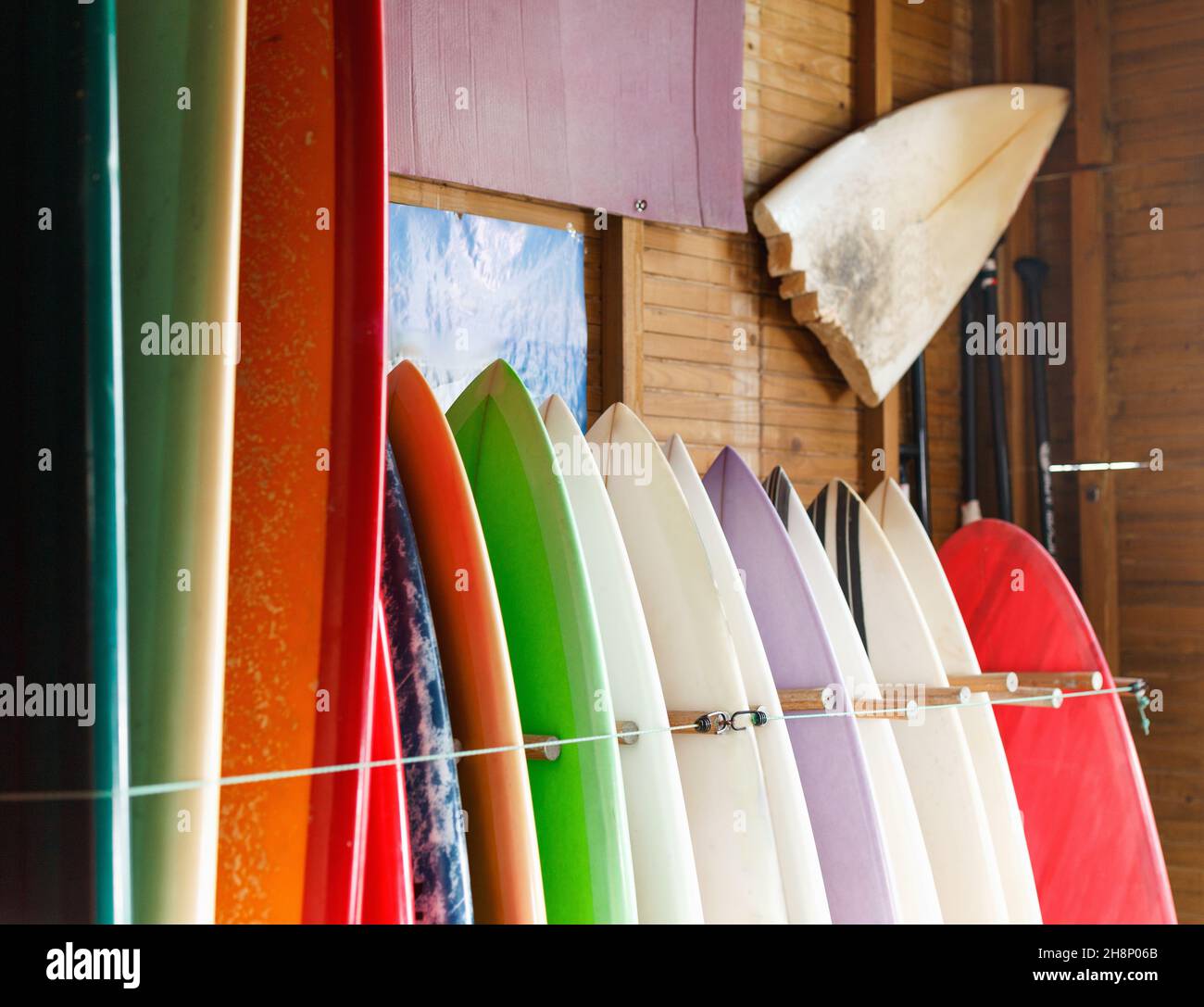 Boards zum Surfen und Stand Up Paddle Boarding können im Surfclub gemietet werden Stockfoto