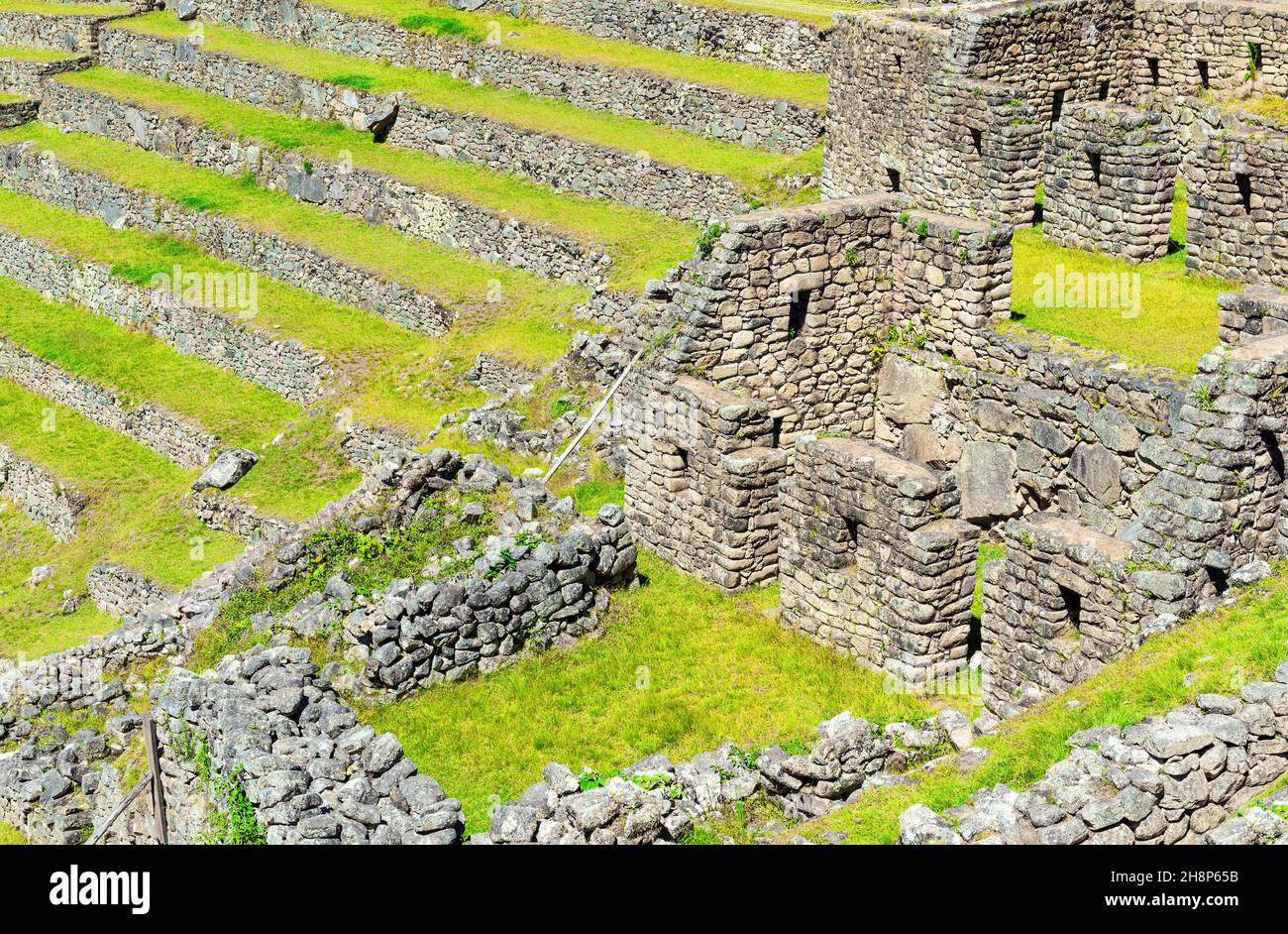 Nahaufnahme der Machu Picchu-Architektur mit inka-Mauern, Häusern und landwirtschaftlichen Terrassen, Cusco, Peru. Stockfoto