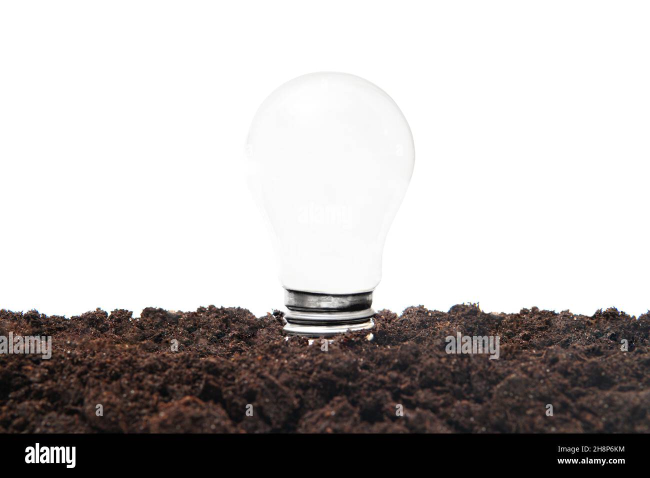 Mattweiße Glühbirne, die aus dem Boden ragt. Konzept für grüne Energie. Stockfoto