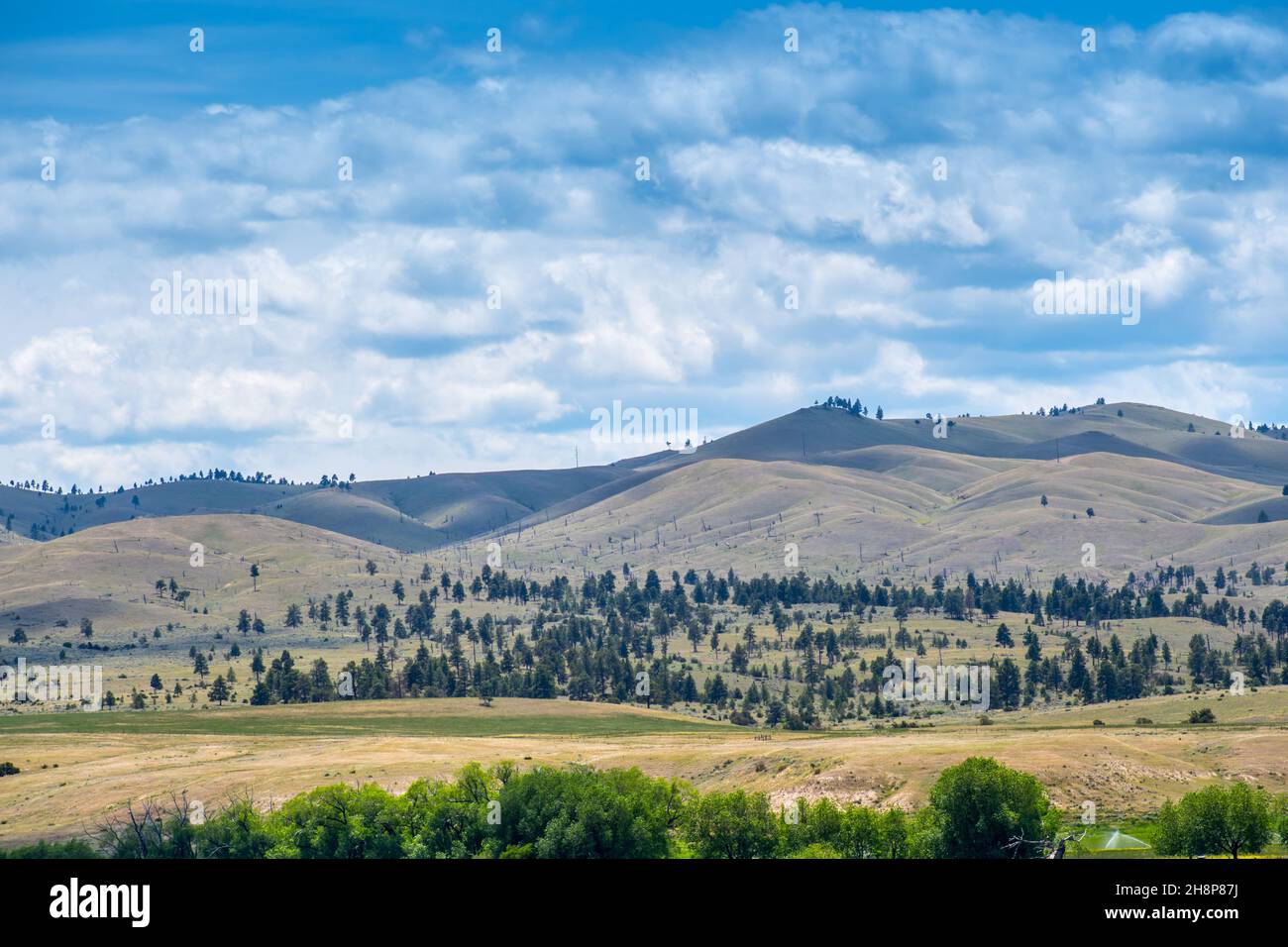 Malerische Aussicht auf die Landschaft des inspirierenden Art der nationalen Wald Stockfoto