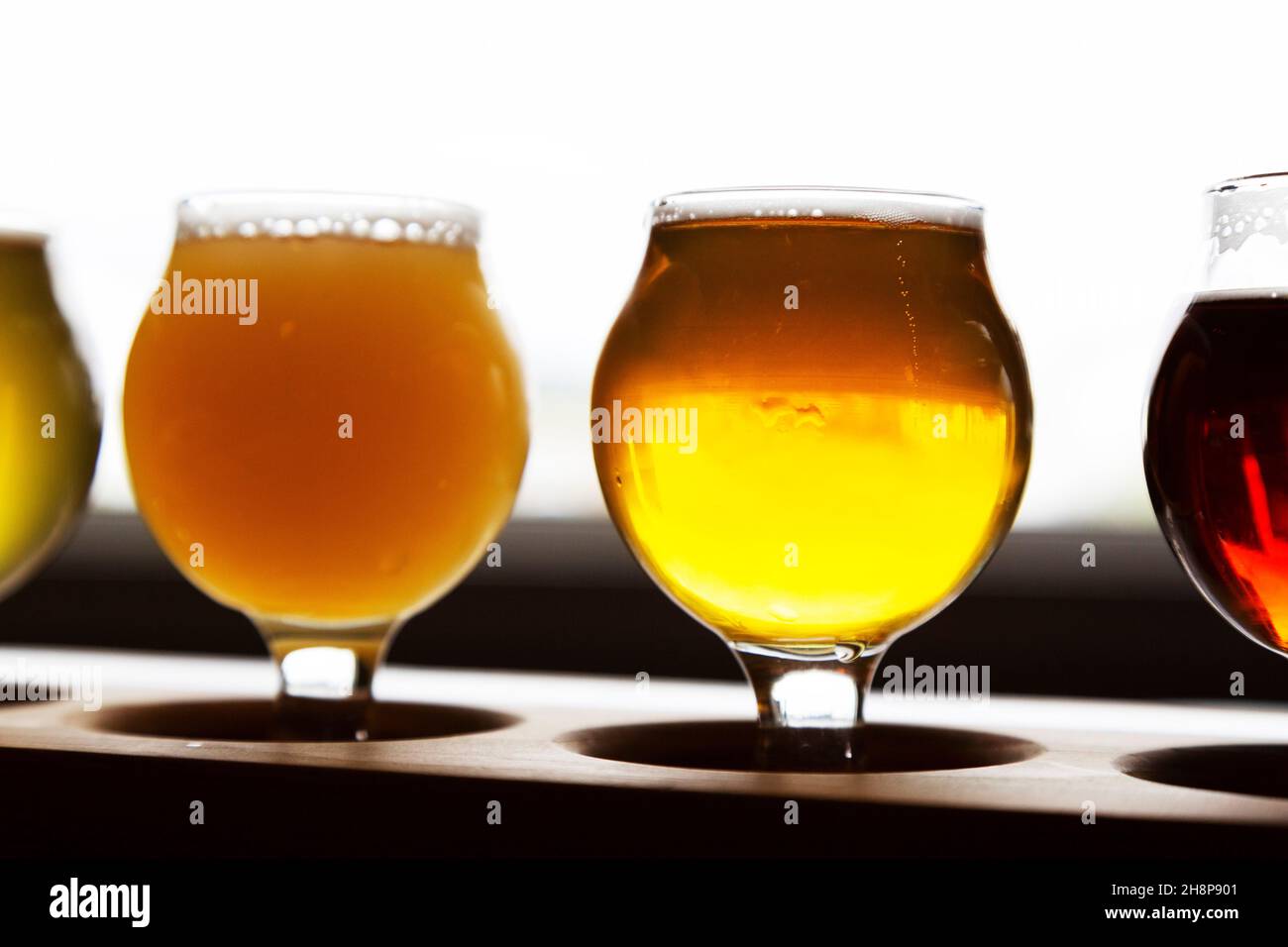 Verkostung von Craft-Bieren im Yukon, Kanada. Die Gläser enthalten eine Auswahl an Biersorten. Stockfoto