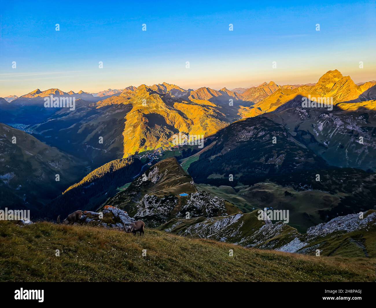 Blick auf die Allgäuer Alpen bei Lechleiten Stockfoto