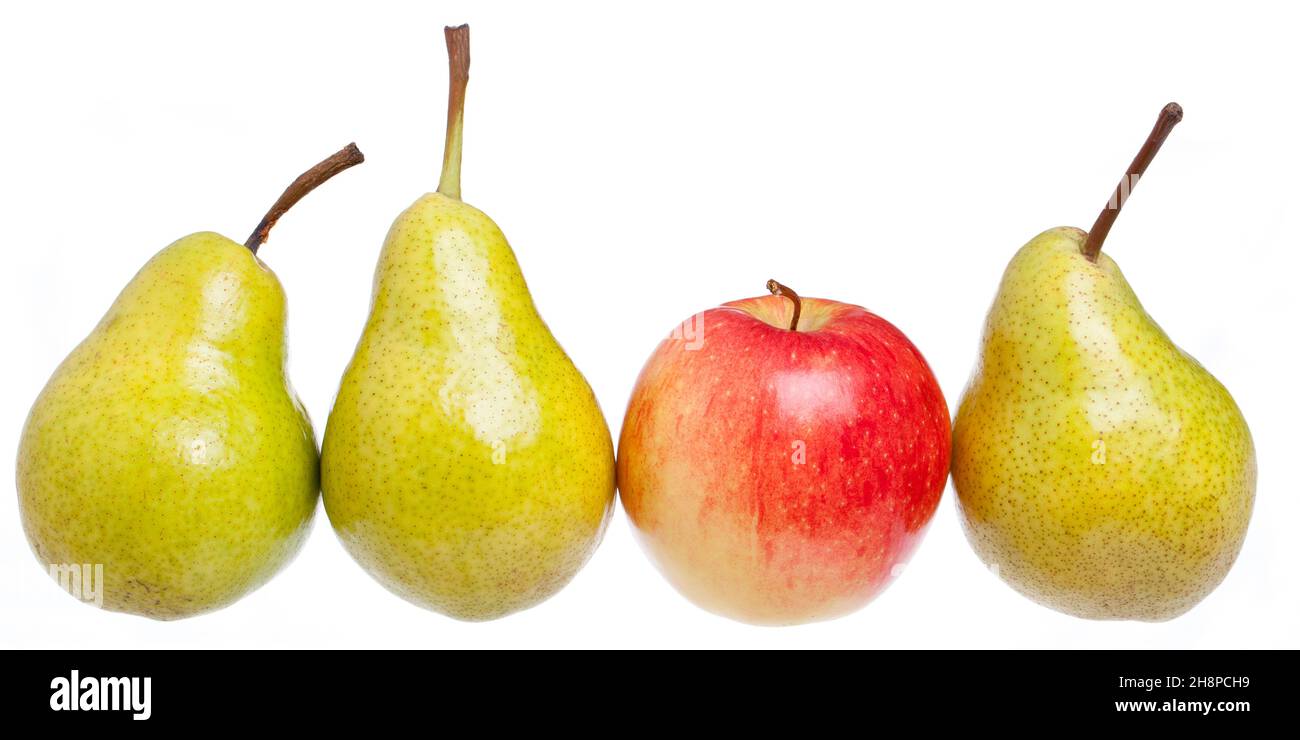 Apfel im Vergleich zu Birnen Apfel, Birne, Birnen, verglichen, Äpfel, Mit, Vergleich, Unterschiede Stockfoto