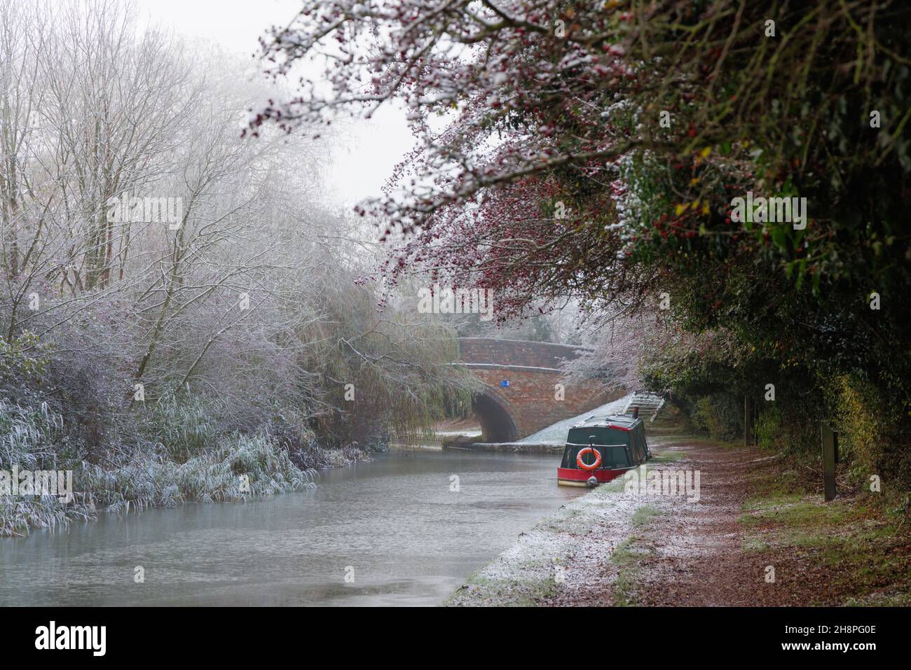 Crick, Northamptonshire, UK, November 29th 2021: Ein Schmalboot, das von Weißdornbäumen mit Beeren beladen auf dem gefrorenen Grand Union Canal in der Nähe von Crick festgemacht wird. Stockfoto